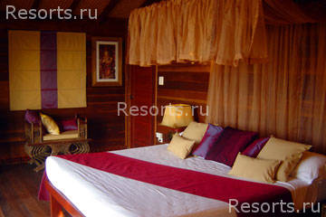 Coconut Laguna 12